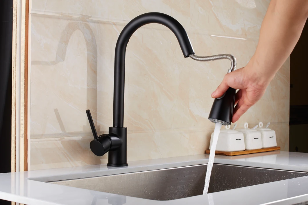 New Design Spray Sink Kitchen Faucet Pull out Sink Faucet